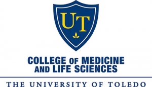 University of Toledo logo